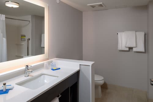 Holiday Inn Express & Suites Tulsa Downtown by IHG, Bathroom