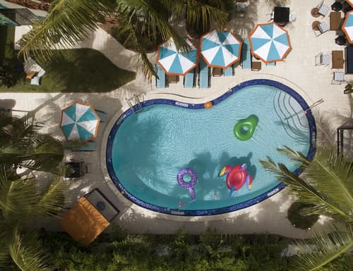 Generator Miami, Primary image