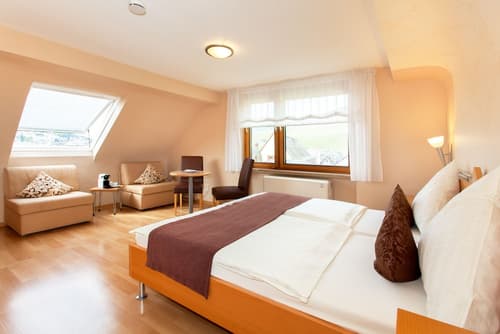 Moselhaus Weiskopf, Room