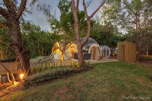 Bubble Lodge Ile aux Cerfs, Room