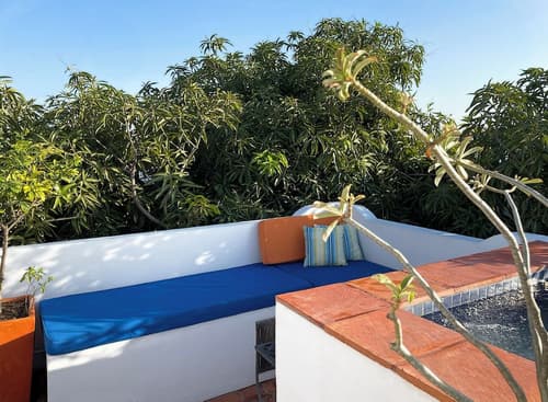 Les Lezards B&B, Terrace/patio