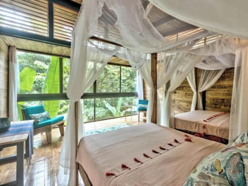 La Shamana Ecological, Concept in the Jungle, Primary image