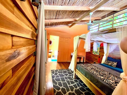 La Shamana Ecological, Concept in the Jungle, Room