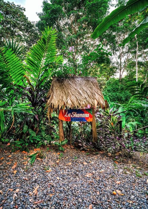 La Shamana Ecological, Concept in the Jungle, Lobby
