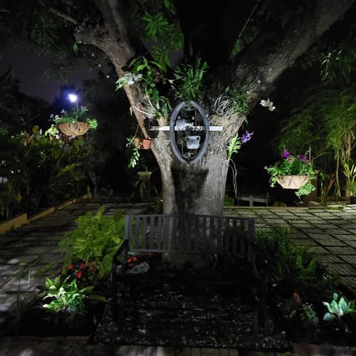 Millsborough B&B, Garden