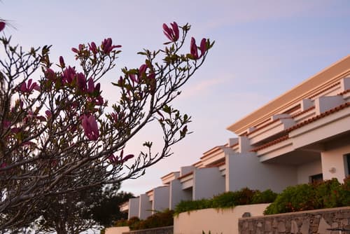 Hotel Jardim Atlantico, View from room