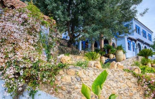 Dar Jasmine, Primary image