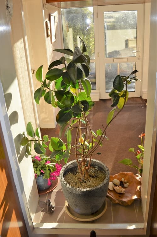 Aurora B&B, Reception