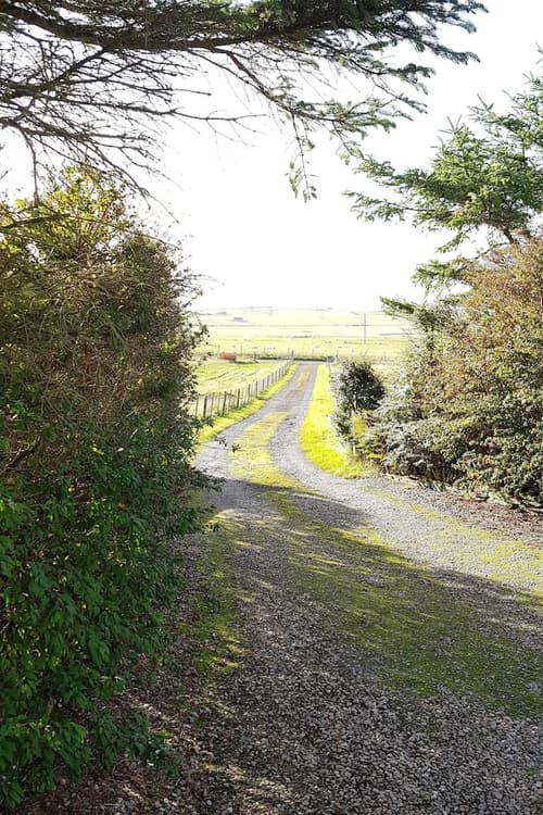 Aurora B&B, Property grounds