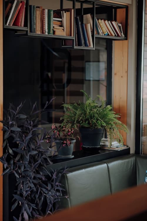 Quadrum Ski & Yoga Resort, Lobby sitting area