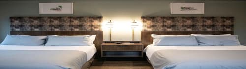 TRYP by Wyndham Pittsburgh/Lawrenceville, Room