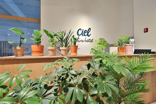 Ciel Mini Hotel, Reception