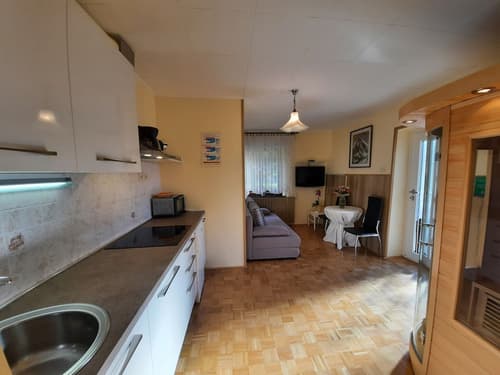 Apartment Zonir with sauna, Private kitchen