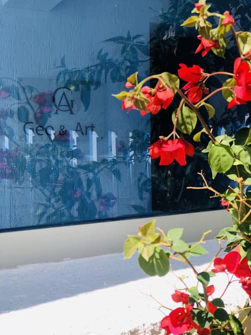 Geo & Art Boutique Hotel, Interior entrance