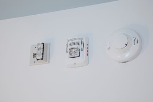 Universal's Endless Summer Resort - Dockside Inn and Suites, Room