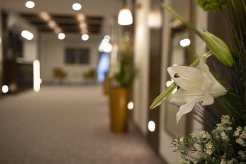 Luxury Rooms Velika Skadarlija, Lobby