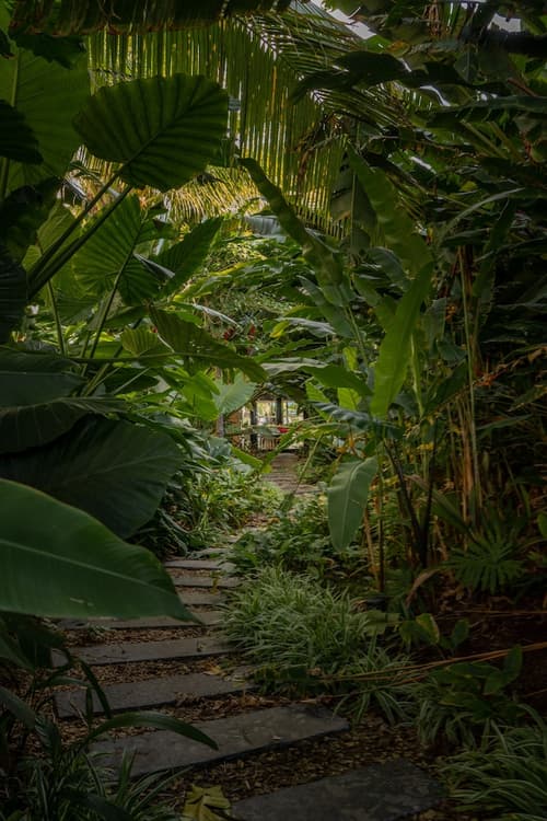 Ness By D-Ocean, Garden