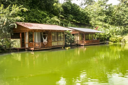Cabañas del Lago, Room