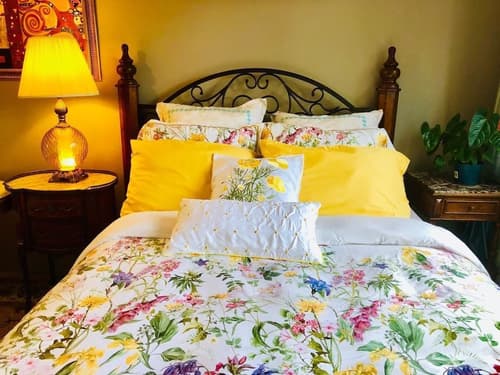 The Sunshine House, Room