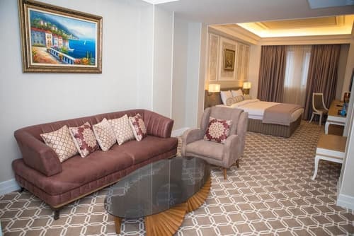 Theatrum Hotel Baku, Room