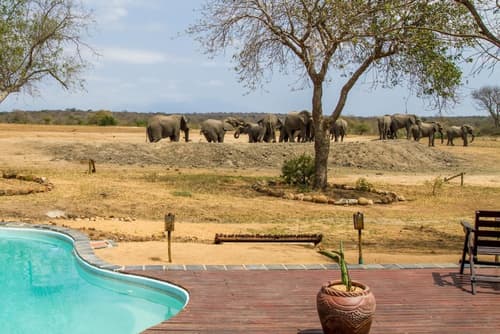 Tangala Safari Camp, Pool