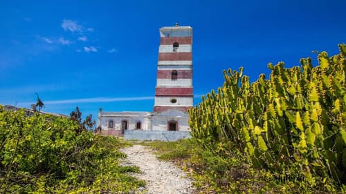 Hotel Omuhipiti, Safari