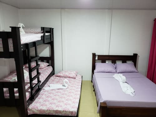 Rooms Flora y Fauna del Arenal, Room