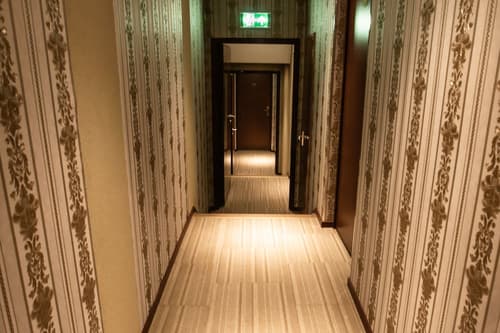 Golden Zaan Hotel Amsterdam Zaandam, Hallway