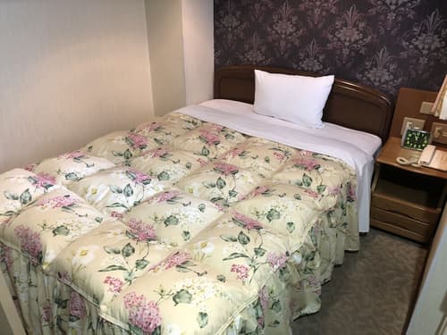 Nishikawaguchi Station Hotel Stay Lounge, Room