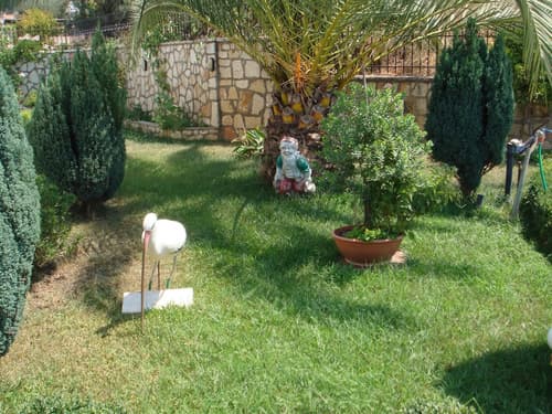 Delphin Rooms Sivota, Garden