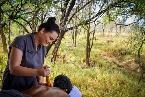 Lion Sands Narina Lodge, Massage