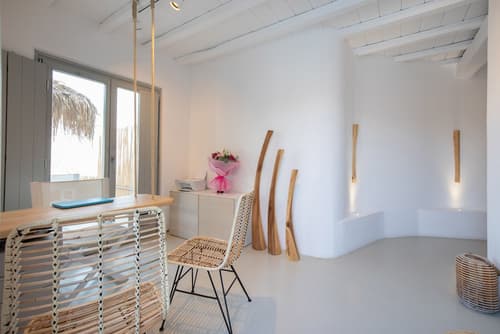 The Summit of Mykonos, Reception