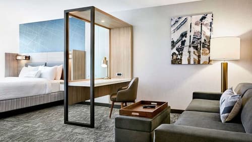 SpringHill Suites by Marriott Springfield Southwest, Room