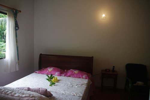 Papaya Guesthouse, Room