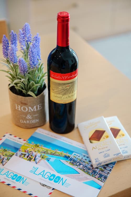 Blue Lagoon Kosher Hotel, Room