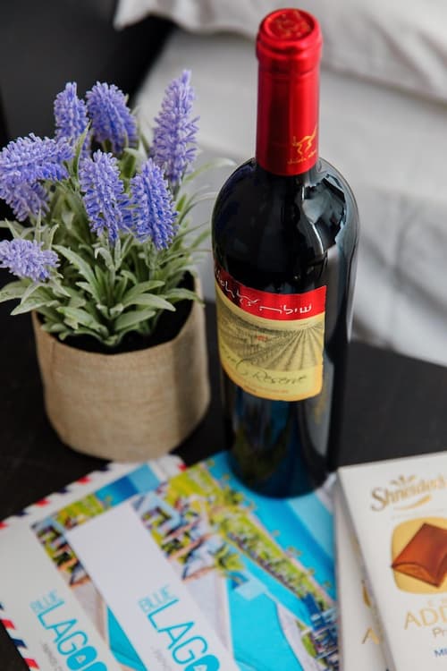 Blue Lagoon Kosher Hotel, Room