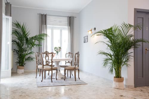 Rudiae Boutique, Lobby