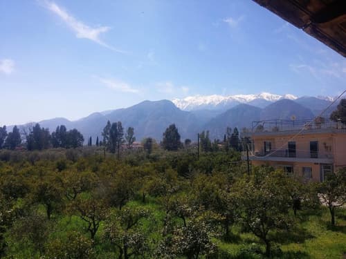 Taygetos, Property grounds