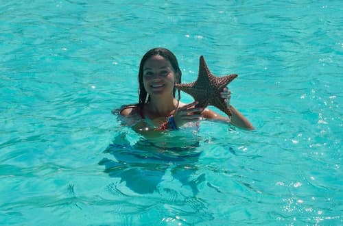 Saint Francis Resort, Primary image