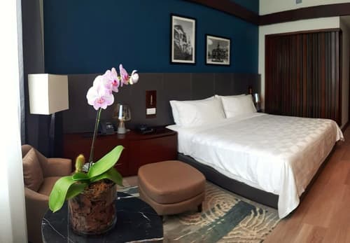 Holiday Inn Santo Domingo by IHG, Room