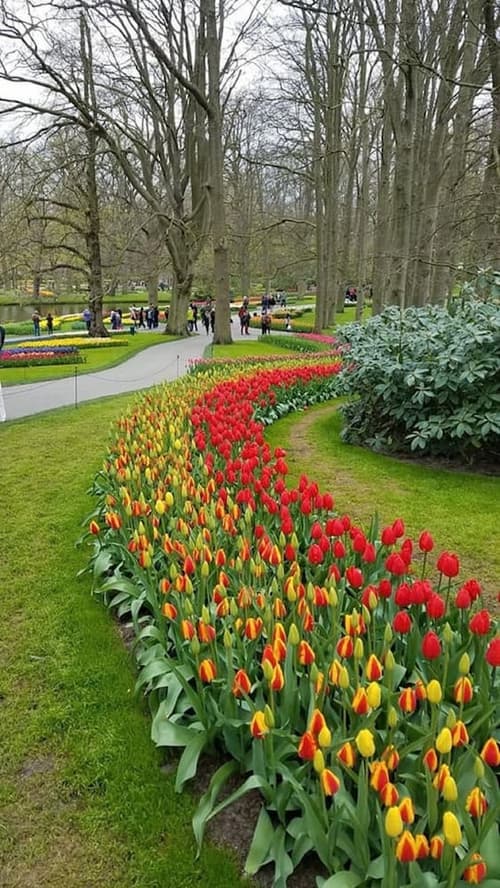 Dara Old City Hotel, Point of interest