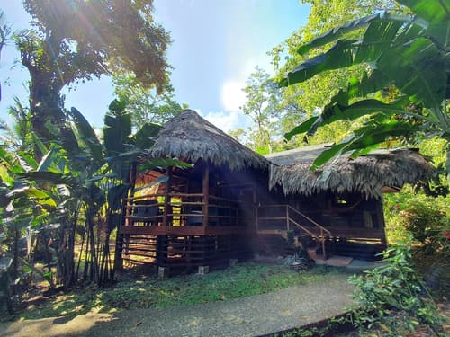 Cariblue Beach and Jungle Resort, Room