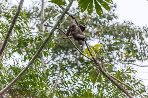 Cariblue Beach and Jungle Resort, Interior entrance