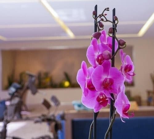 Afrin Prestige, Interior entrance