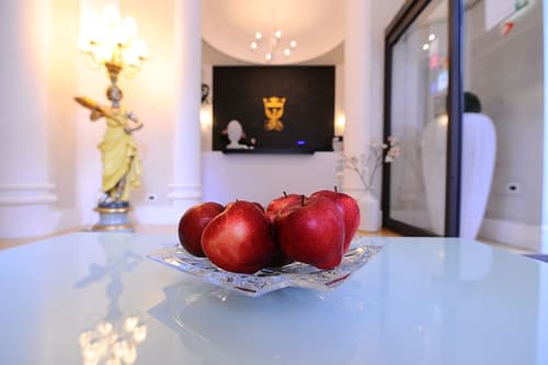 Artemisia Palace Hotel, Reception