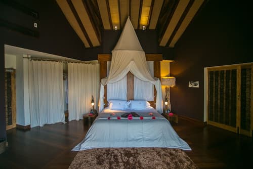 Le Domaine de L'Orangeraie, Room