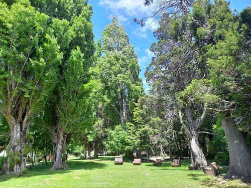 Rochester Bariloche, Living area