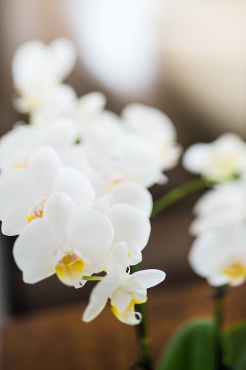 at Marina Shores, Room