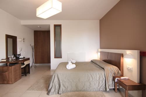 Delina Mountain Resort, Room