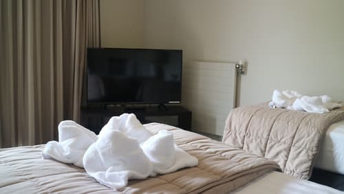 Executive on Fenton, Room